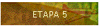 ETAPA 5