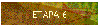 ETAPA 6