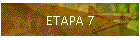 ETAPA 7